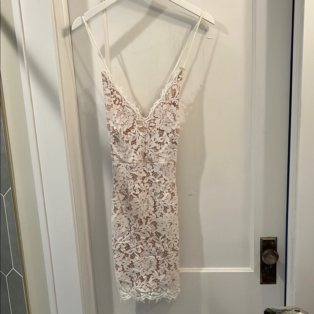 Pink Lily Lace Sheath Dress